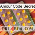 Love Secret Code new10